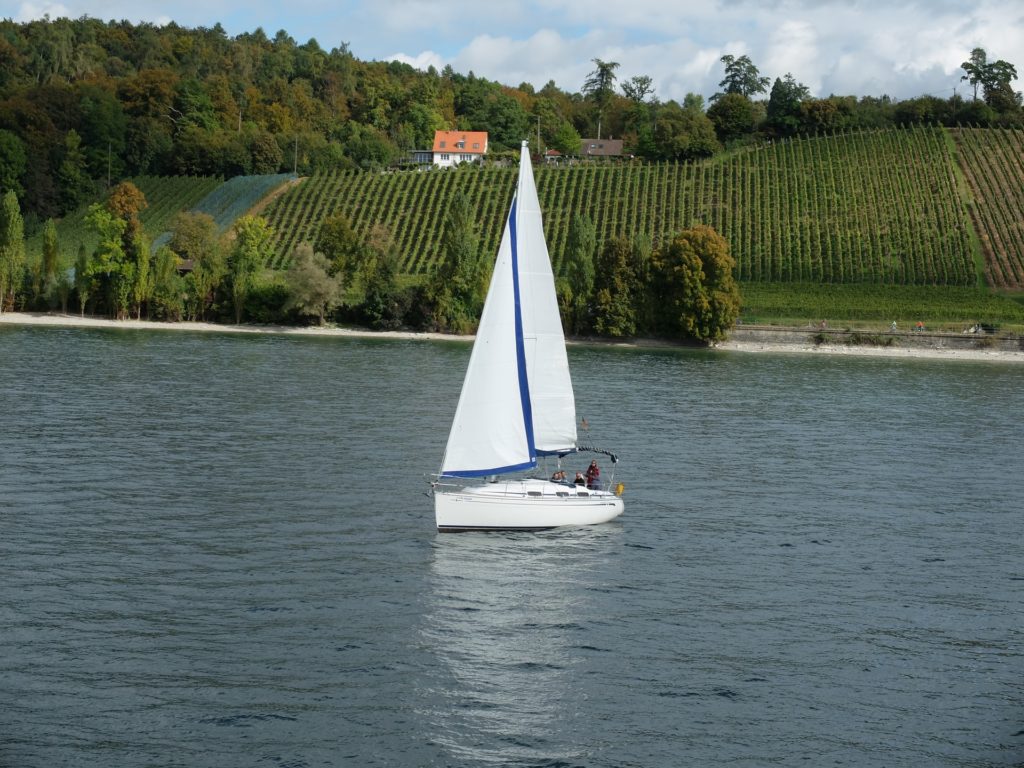 Segelboot vor Obstplantagen am Bodensee